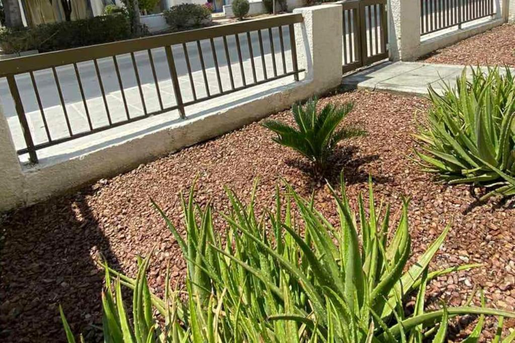 Dalia 9 Apartment Paphos ภายนอก รูปภาพ